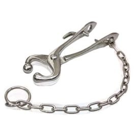 Bull Lead with Snub and Chain
