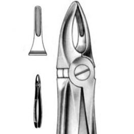 DENTAL FORCEPS ENGLISH PATTERN FIG#29 11-029-000