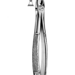 DENTAL FORCEPS ENGLISH PATTERN FIG#29S 11-029-001