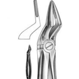 DENTAL FORCEPS ENGLISH PATTERN FIG#51A 11-051-001