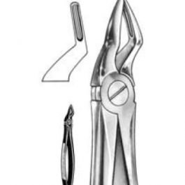 DENTAL FORCEPS ENGLISH PATTERN FIG#51S 11-051-004