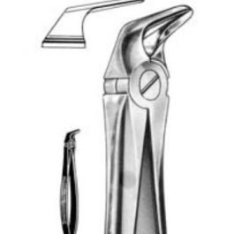 DENTAL FORCEPS ENGLISH PATTERN FIG#56 11-056-000