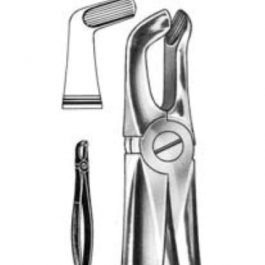 DENTAL FORCEPS ENGLISH PATTERN FIG#79A 11-079-001