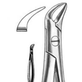 DENTAL FORCEPS ENGLISH PATTERN FIG#87 11-087-000