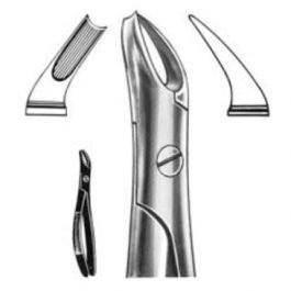 DENTAL FORCEPS ENGLISH PATTERN FIG#89 11-089-000