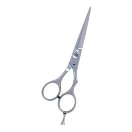 Professional Hair Cutting Scissors

                   



                  Art: NI-5204