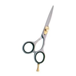 Professional Hair Cutting Scissors

                   



                  Art: NI-5209