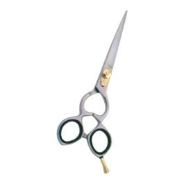 Professional Hair Cutting Scissors

                   



                  Art: NI-5210